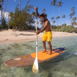 PAGAIE FANATIC BAMBOO CARBON 50 FIXE 7.25 -Pagayer Soldes Magasin pagaie fanatic bamboo carbon 50 fixe 725 7